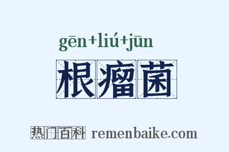 根瘤菌是什么意思的图片